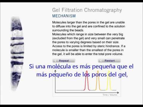 Vídeo: Diferencia Entre La Filtración En Gel Y La Cromatografía De Permeación En Gel