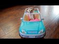 Hedgehog Drives Car?! - Cute And Funny Hedgehog Compilation