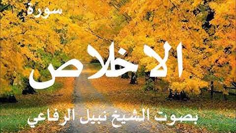 112  سورة الإخلاص بصوت نبيل الرفاعي