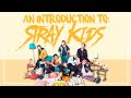 an introduction to: stray kids (2020 edition)