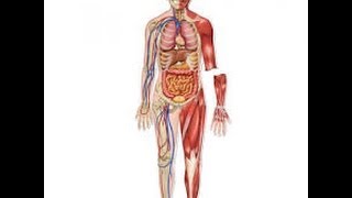 Autopsy/Investigation 101 and the CSI Effect - Tim Stepetic