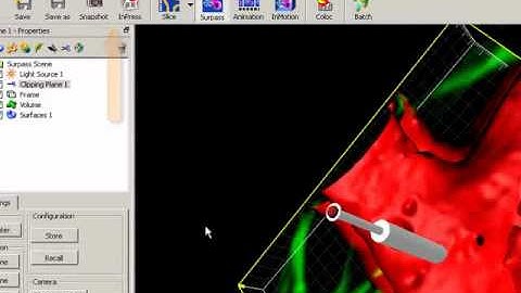 Clipping Plane - Imaris Tutorial