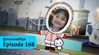 Main The Social Tree