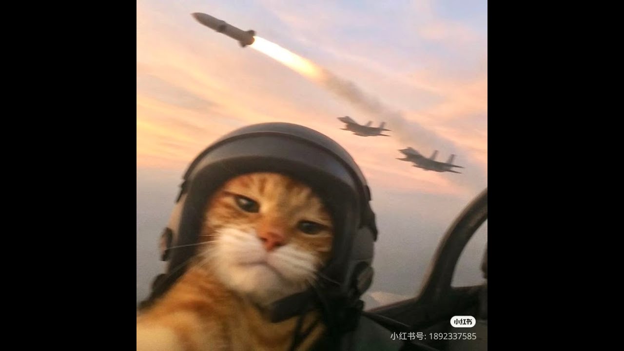 Prepping for my quiz and poetry competition