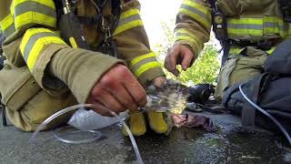 PTSD in First Responders