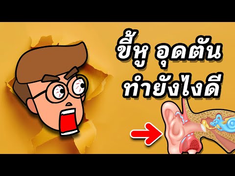 ขี้หูอุดตันทำไงดี และสาเหตุเกิดจากอะไร (สังเกตง่ายมาก)