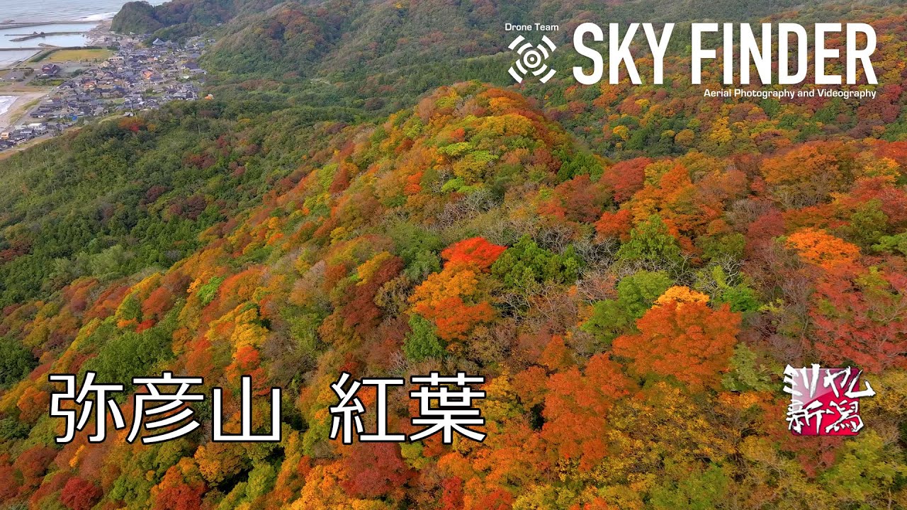 弥彦山 紅葉 絶景観光 ドローン空撮【ミリヤム新潟】 JAPAN 新潟 - YouTube