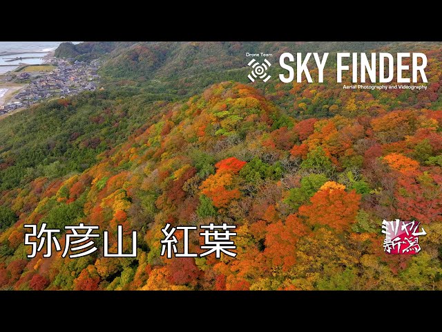 トロイメライは鳴りやまない 小手森 弥彦山 紅葉 絶景観光 ドローン空撮【ミリヤム新潟】 JAPAN 新潟 - YouTube