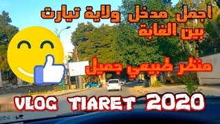 اجمل  مدخل  ولاية تيارت  بين الغابة منظر طبيعي جميل vlog tiaret 2020