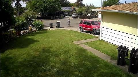 Crazy Veronica is pretending to be disabled!