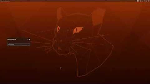 Ubuntu Cinnamon Remix 20.04 Run Through