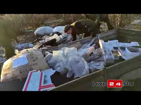 В Новом Уренгое с поличным поймали людей, выбрасывающих мусор в тундре