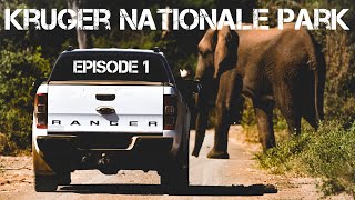Kruger National Park, Punda Maria 2021