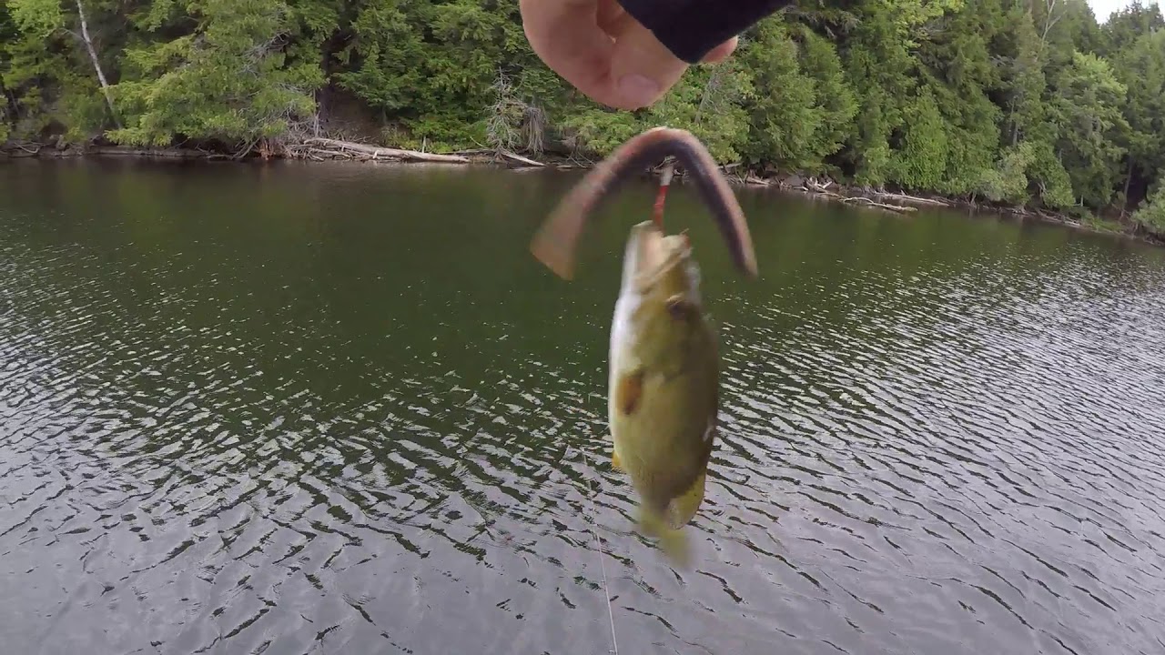 First Time Fishing Chandos