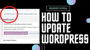 How to update Wordpress, Plugins and Theme!