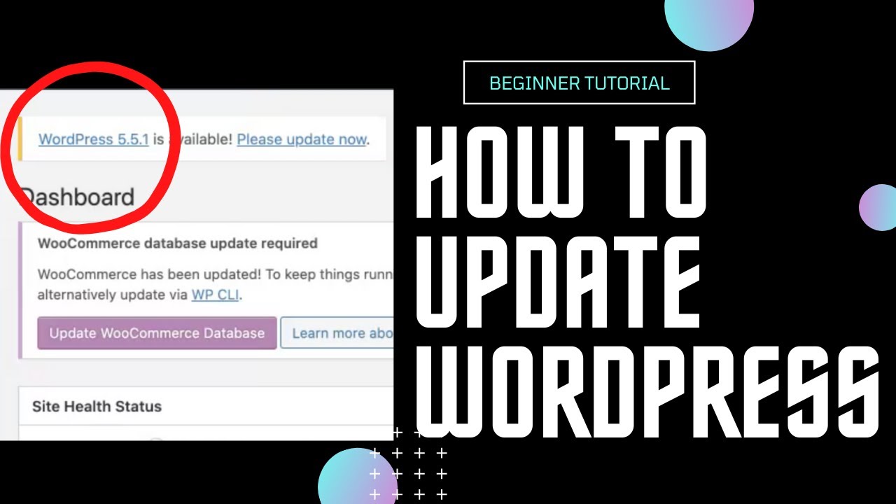 How to update Wordpress, Plugins and Theme! - YouTube