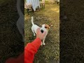 #keşfet #vlog #tekirdağ #tiktok #camping  #instagram #fyp #fun #viralvideo #youtubeshorts #shorts