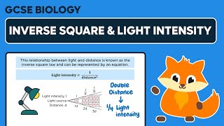 Inverse Square Law & Light Intensity in Photosynthesis - GCSE Biology