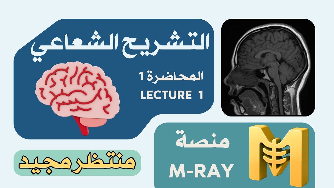 التشريح الشعاعي - المحاضرة الاولى | كاملة +  مراجعة 