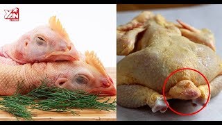 Những bộ phận độc hại của động vật nhiều người vẫn thích ăn || Sức Khỏe Ẩm Thực