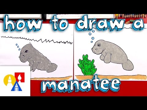 How To Draw A Cartoon Manatee