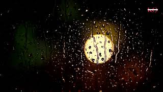 Rainfall Serenity: Nature's Soothing Symphony