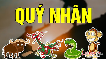 Top 4 Con Giáp Được Quý Nhân Soi Đường Chỉ Lối Thành Công Trong 5 Tháng Tới - Tử Vi 12 Con Giáp