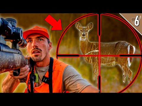 Whitetail Deer Hunting Public Land - AMAZING RECIPE (Catch, Clean, Cook)