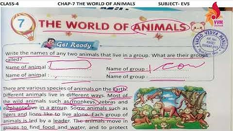 2021 22 CLASS 4 SUBJECT   EVS CHAP 7 THE WORLD OF ANIMALS PART   1