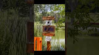 Botanik Parkta Çektiğim Fotoğraflar.