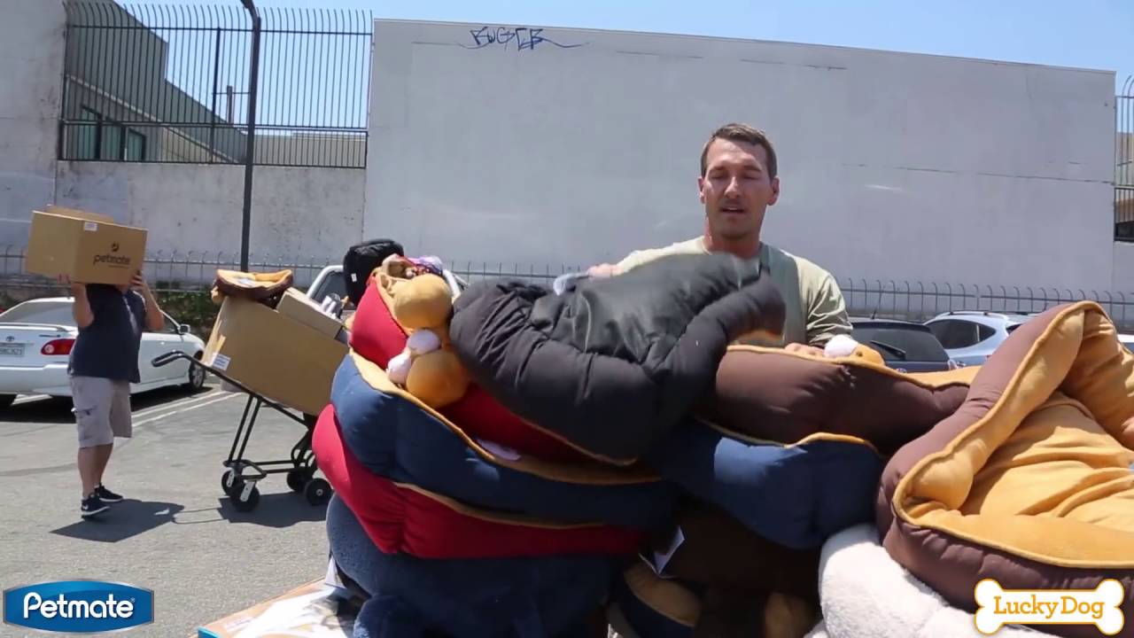 camera iphone 8 plus apk Petmate Donation Lucky Dog