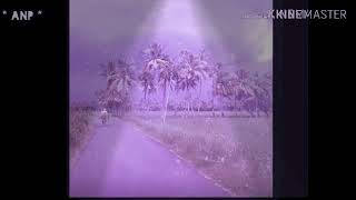 Tree Roads Clouds,Supreme Court