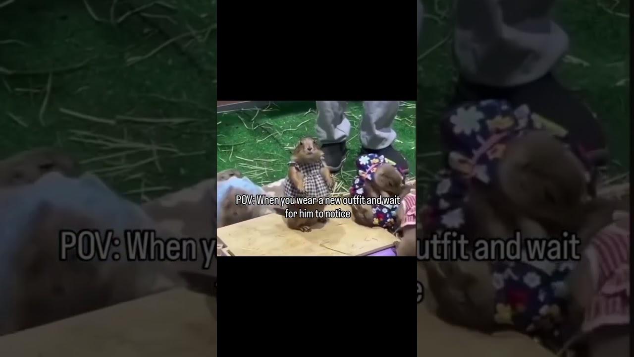 I Always Notice 👀 