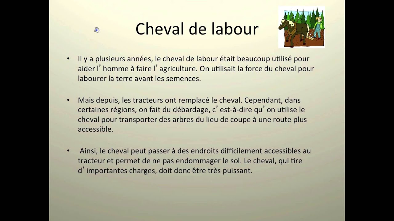 Cheval de labour