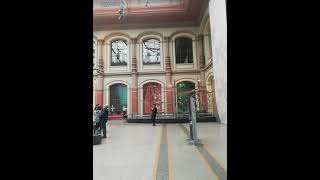 Berlin Natur kundum Museum #almanya #almanyadayaşam  #shorts #gurbet