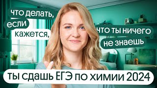 Как сдать ЕГЭ по химии в 2024 году если кажется, что ты ничего не знаешь