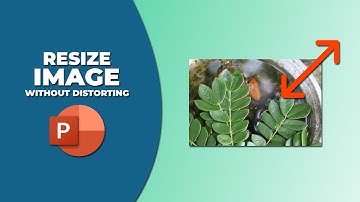 How to resize an image in PowerPoint without distorting