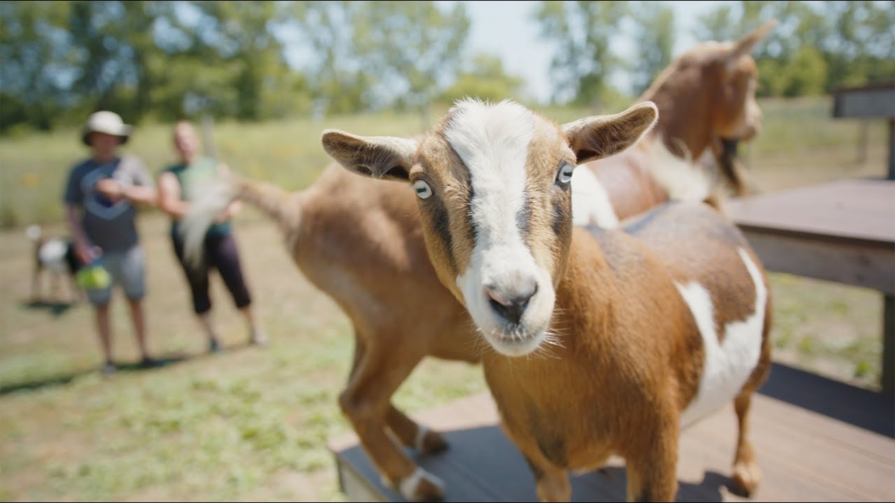 21 Roots Farm Tour | Camp Gillette 2022