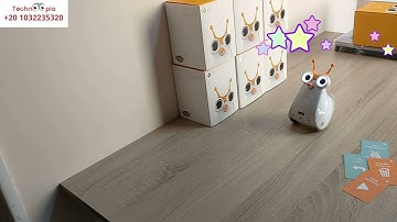 03 - using cards - Albert smart robot