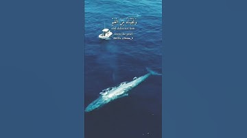 آيات بينات من الذكر الحكيم ♥️🥰