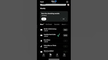 Liquidity Pools Guide   Blum Video Code