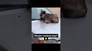 Модель скажем ему?)