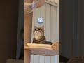 TV視聴のクセが…
