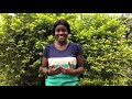 Miss Environment Contest Frie Akwi Lum Video