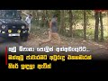 කුඩු|sin