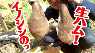 日本イノシシの歯 猪 牙 チャーム【送料無料】 - XJRSHIMADA'S