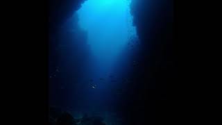 vrtx - depth (1 hour)