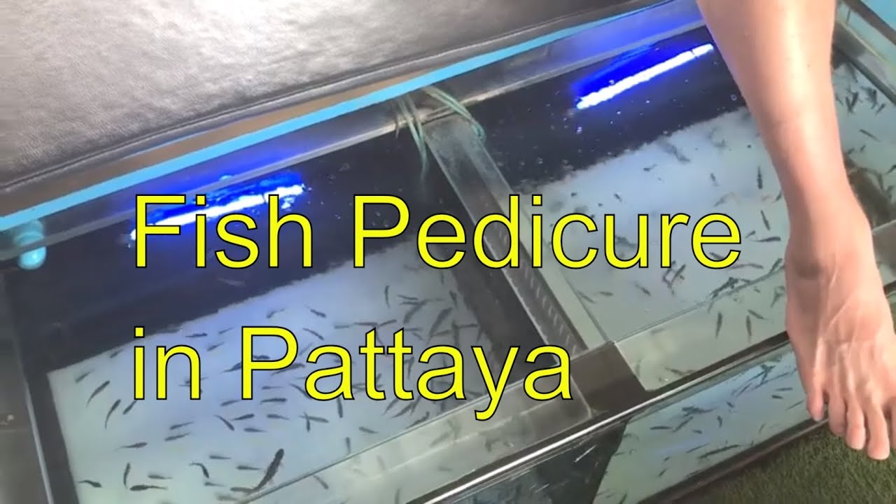 Fish Pedicure on Vacation at the Pattaya Floating Market in Pattaya