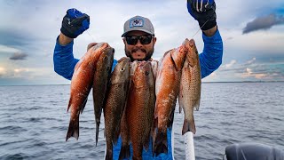 Two Snapper Techniques Produce Inshore Limits Quickly by Joshua Taylor 3,050 views 7 months ago 22 minutes