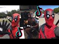 Deadpool in TikTok | Best Videos